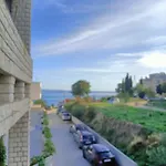Zdenka Studio *